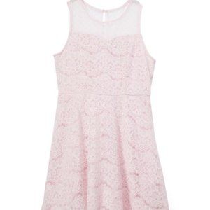 Zunie Lace Mesh-Upper Skater Dress